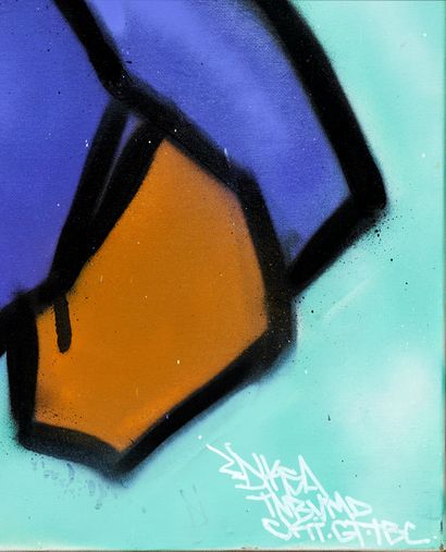 DIKSA
San titre - 2004
Aerosol spray on canvas,...