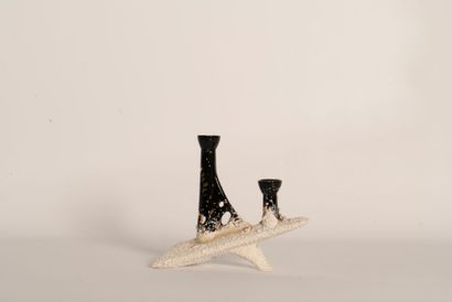 TUPY ceramic
Free-form vase with two necks...