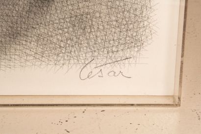 CÉSAR (1921-1998)
Portrait of compression,...