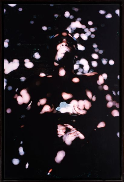 Sophie ELBAZ (Born 1960)
Man of light, 2007
i...