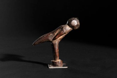 Lobi, Burkina Faso
Perched bird
Wood with...