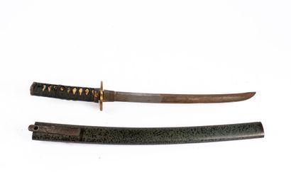 Japan, 19th century
Wakizashi in its brown-green...