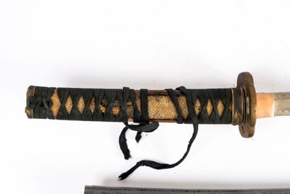 Japan, 19th century, 
Wakizashi in its brown-green...