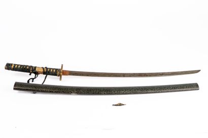 Japan, 19th century, 
Wakizashi in its brown-green...