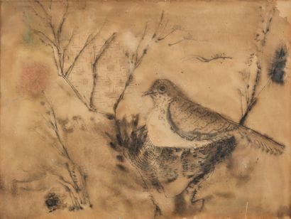 Hans REICHEL (1892-1958)
Pigeon sur une branche
encre...