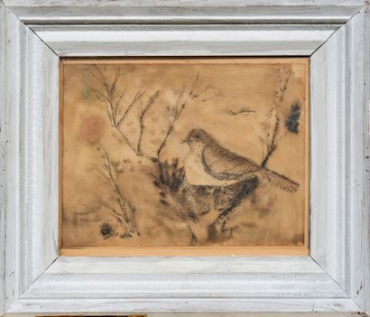 Hans REICHEL (1892-1958)
Pigeon sur une branche
encre...