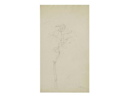 LACOME (active in the early 20th century)
Set...