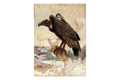 Attribué à Paul JOUVE (1878 - 1973)
Vautour...