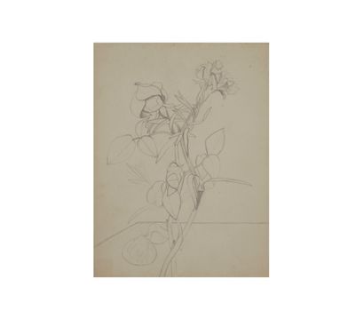 LACOME (active in the early 20th century)
Set...