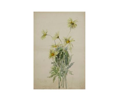 LACOME (active in the early 20th century)
Set...