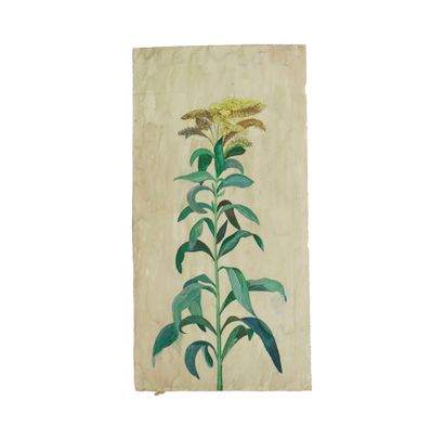 LACOME (active in the early 20th century)
Set...
