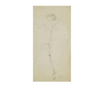 LACOME (active in the early 20th century)
Set...