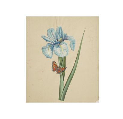 LACOME (active in the early 20th century)
Set...