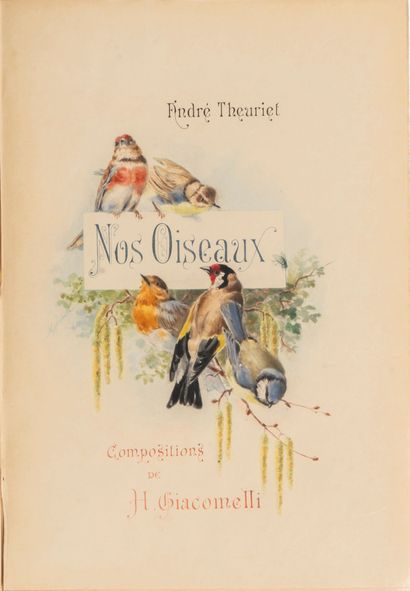 THEURIET (André). Nos Oiseaux [...]. Paris,...
