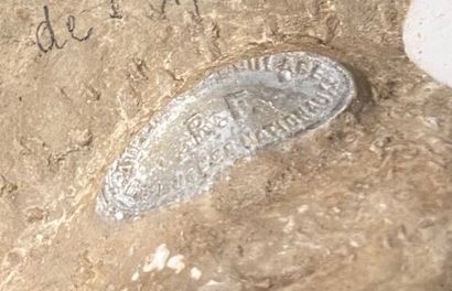 Plaster profile, probably of Medusa.
Mark...