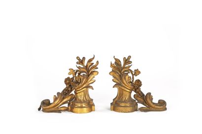 Pair of chiselled and gilded bronze andirons...