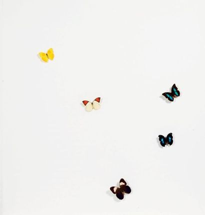 CLAUDIO PARMIGGIANI (NÉ EN 1943)
Butterfly,...