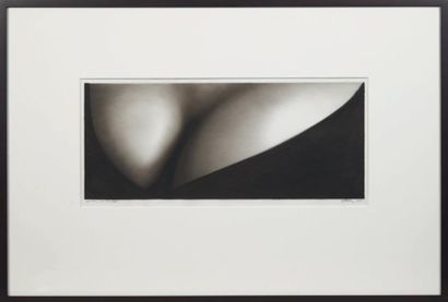 Robert LONGO (né en 1953)
Study for Bridget,...