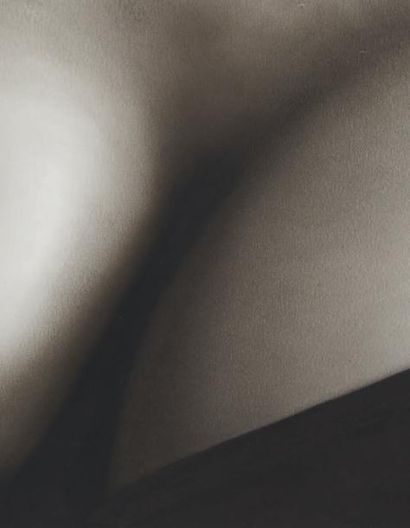 Robert LONGO (né en 1953)
Study for Bridget,...
