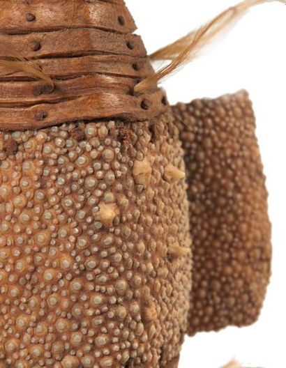 RARISSIME BOUCLIER RITUEL montrant une coque...