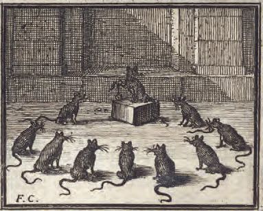LA FONTAINE, Jean de

Fables choisies, mises...