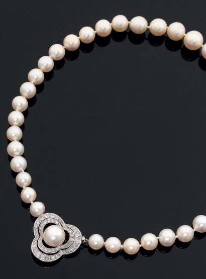 Property of a lady. Collier de trente-neuf...