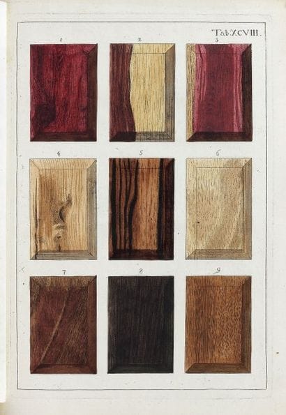 SEPP, Jean-Chrétien.
Réprésentation des bois,...