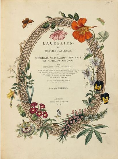 HARRIS, Moïse.
L'Aurélien, ou histoire naturelle...