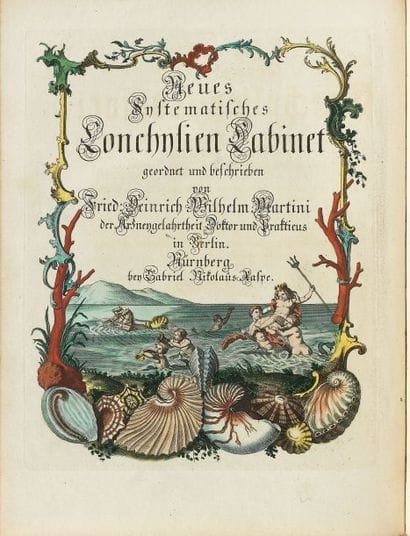 Neues systematisches Conchylien- Cabinet...