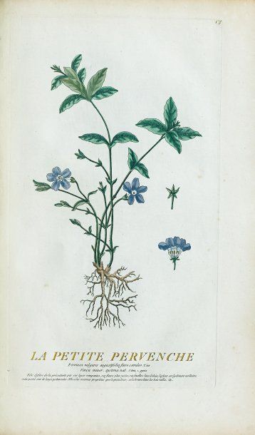 ALYON, Pierre Philippe.
Cours de Botanique...
