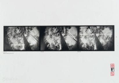 DOMINIQUE STROOBANT
Miseglia, 1978
Pin hole...
