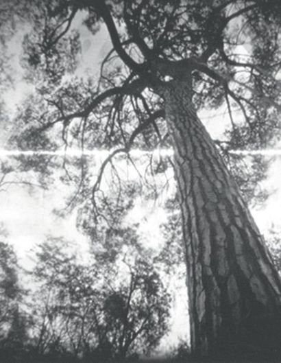 DOMINIQUE STROOBANT
Miseglia, 1978
Pin hole...