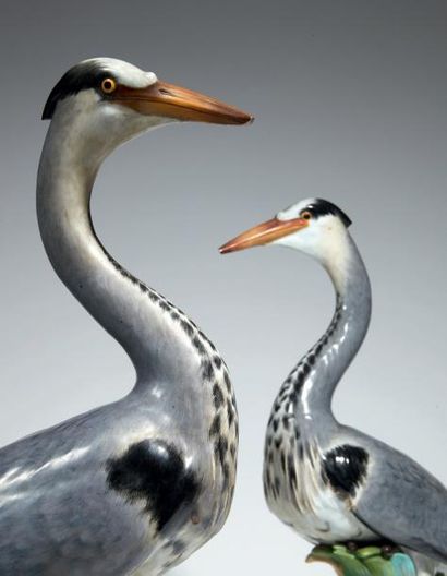 MEISSEN

Paire de hérons en porcelaine parmi...