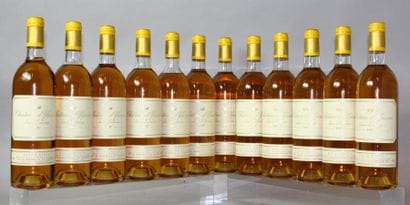 12 BOUTEILLES CHÂTEAU D'YQUEM 1er GC superieur
SAUTERNES...