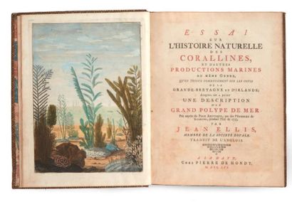 ELLIS (Jean)
Essai sur l'histoire naturelle...