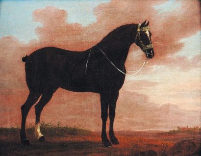ECOLE SUISSE DU DÉBUT DU XIXe SIÈCLE
Cheval...