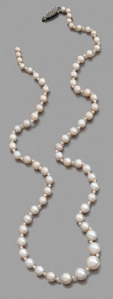 COLLIER DE 69 PERLES FINES en chute, scandées...