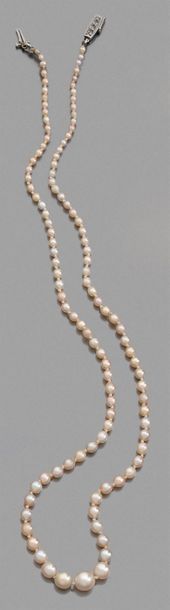 COLLIER DE 109 PERLES FINES en chute, fermoir...