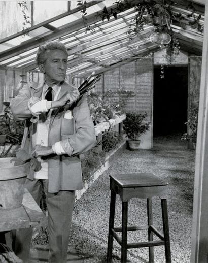 DIVERS ARTISTES Fernand Léger, Henri Matisse,...
