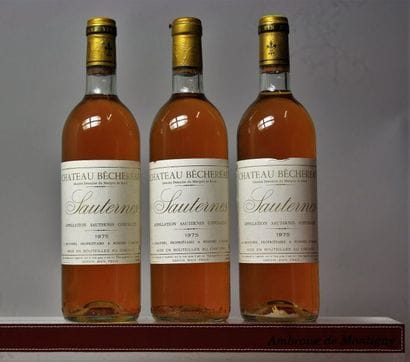 3 BOUTEILLES CHÂTEAU BÊCHEREAU GC - Sauternes...