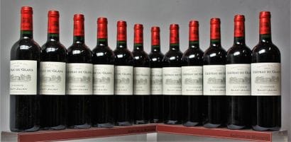 12 BOUTEILLES CHÂTEAU DU GLANA - St. Julien...