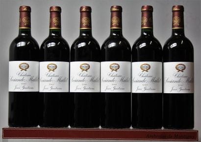 6 BOUTEILLES CHÂTEAU SOCIANDO MALLET - Haut...