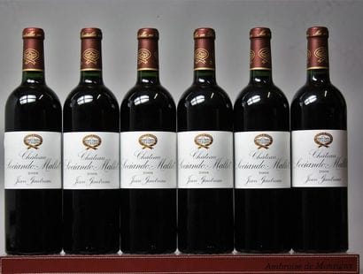 6 BOUTEILLES CHÂTEAU SOCIANDO MALLET - Haut...