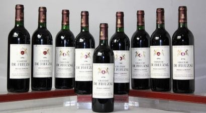 9 BOUTEILLES CHÂTEAU DE FIEUZAL - CC Pessac...