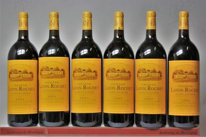 6 MAGNUMS CHÂTEAU LAFONT-ROCHET - 4é GCC...