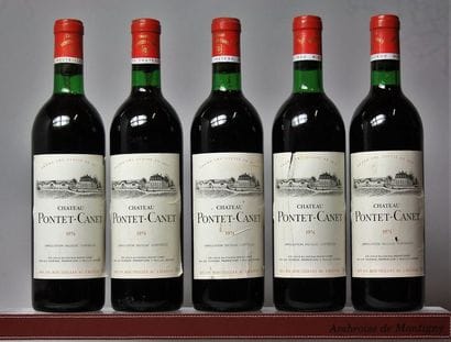 5 BOUTEILLES CHÂTEAU PONTET CANET - 5é GCC...