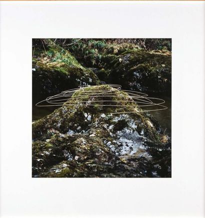 Andy GOLDSWORTHY (né en 1956)
Grass stalks...