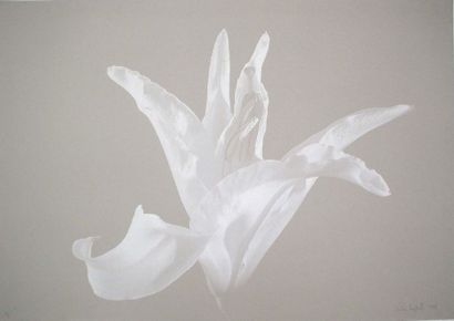HECTOR HAPLINSKI
Sans titre, 1995
Acrylique...