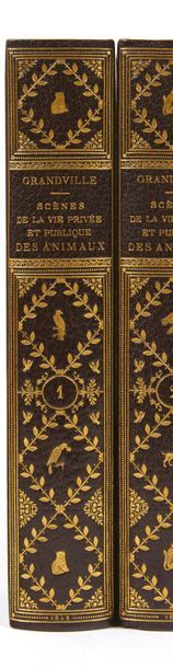 GRANDVILLE

Scènes de la vie privée et publique...