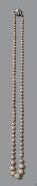 COLLIER d'un rang de 97 perles fines en camaieu...